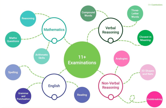 11 PLUS EXAM